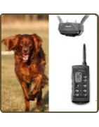 Accessoires chien chasse