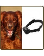 Collier anti-aboiement