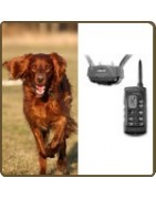 Collier de dressage, accessoires chien chasse